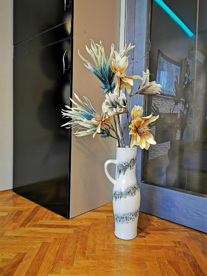 Crystal Central Apartment ブラショフ エクステリア 写真