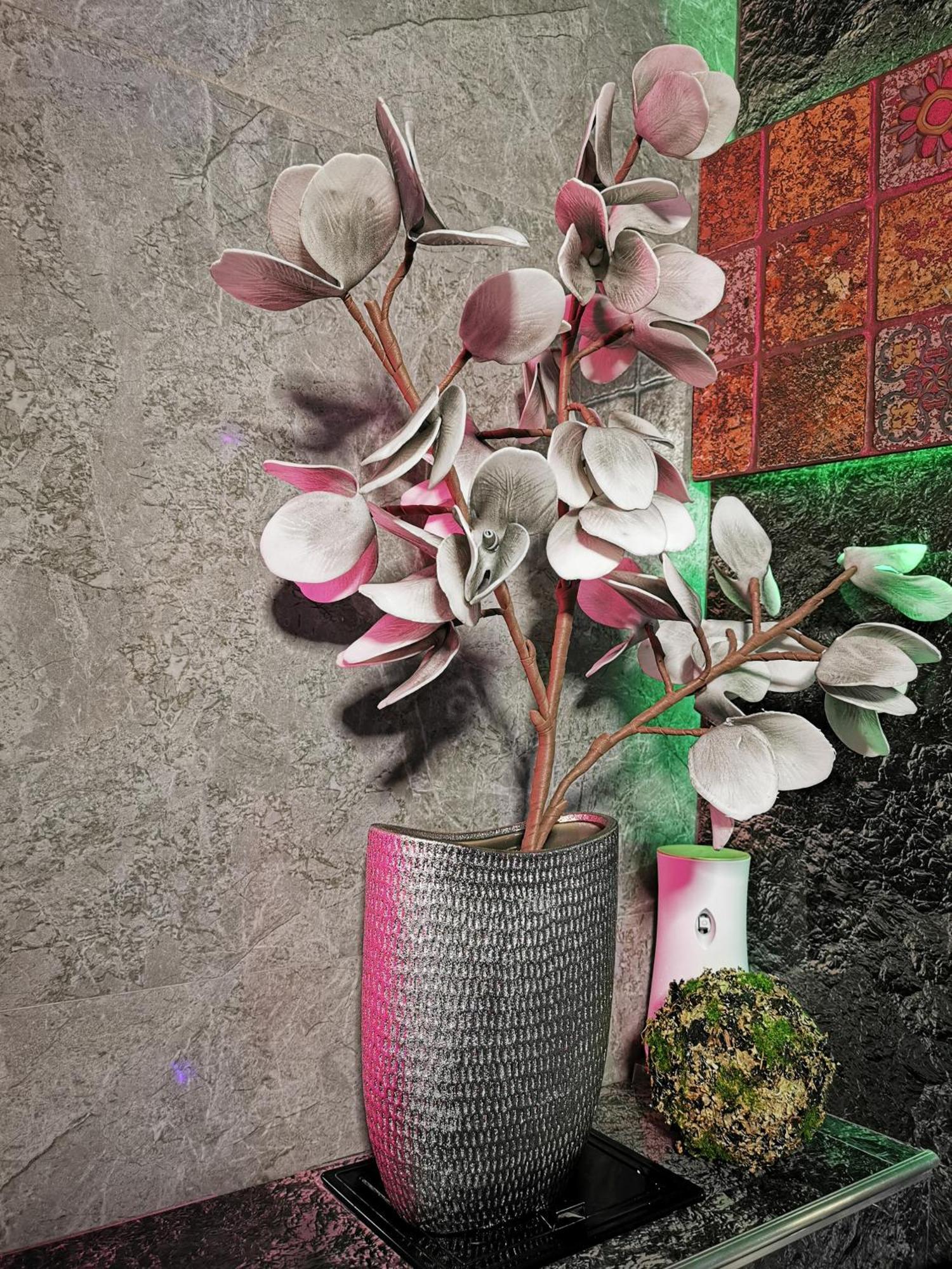 Crystal Central Apartment ブラショフ エクステリア 写真
